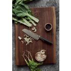 Titanium Santoku kés (1027295)