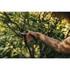 Solid™ metszőolló, mellévágó P321 (1057162)