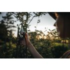 Plus™ metszőolló, mellévágó P721 (1057170)