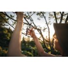 Plus™ metszőolló, mellévágó P751 (1057172)